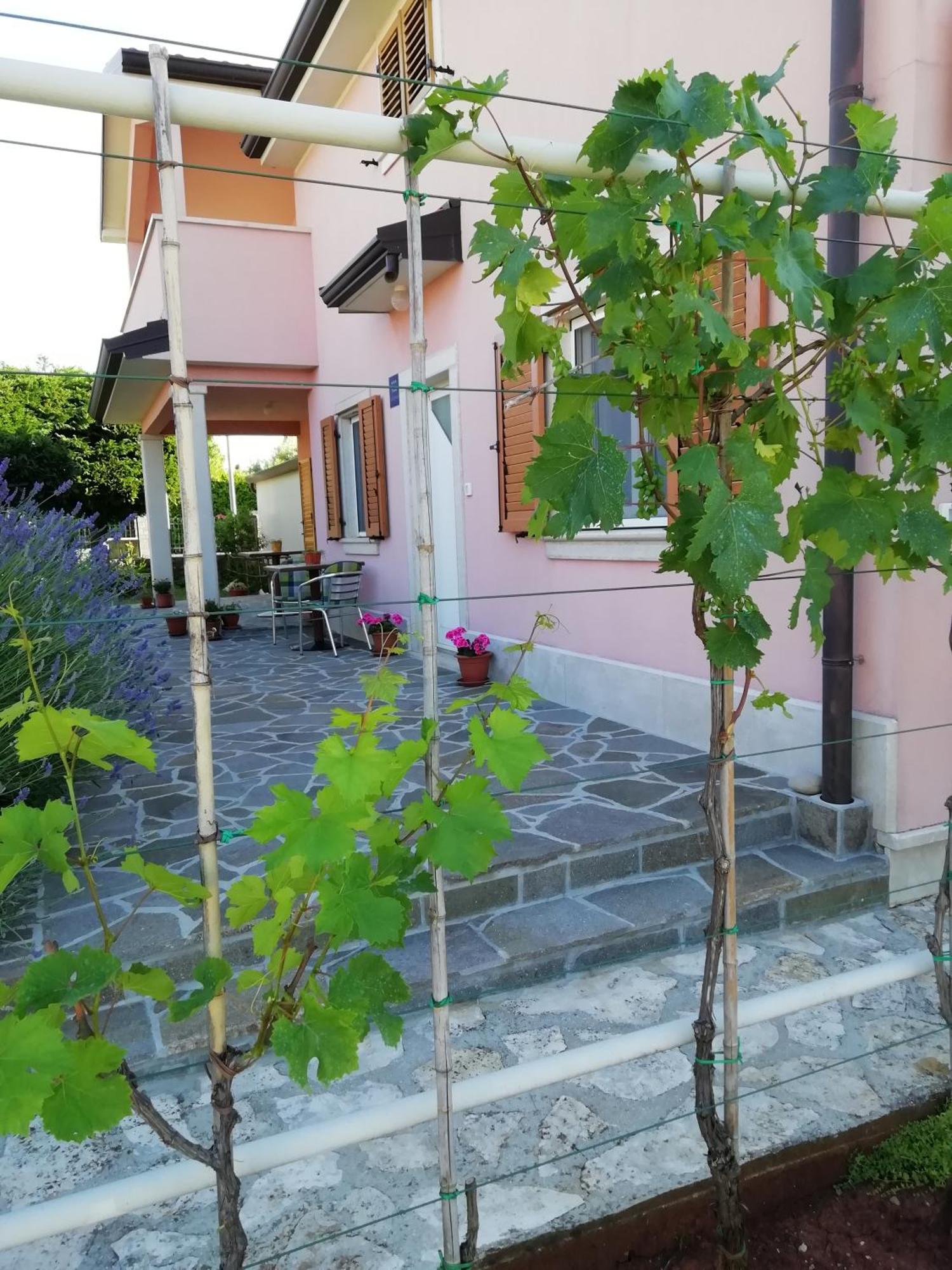 בוג'ה Apartmani Vesna מראה חיצוני תמונה
